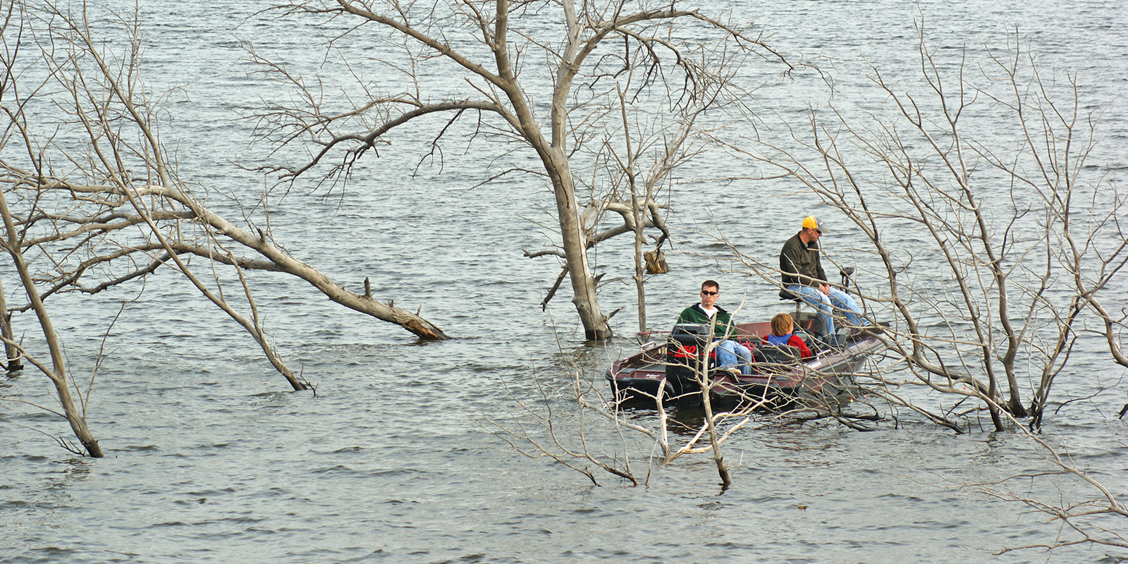 Boat fishing in DL Trees